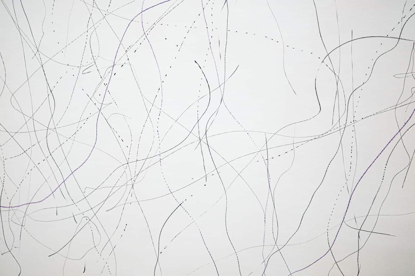 Luis Jacob at Patel Brown